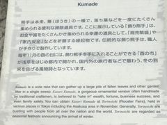-东京都厅舍