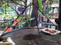 -阿里山邹族烤肉团队(山猪亮)