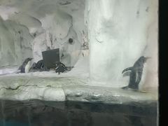 -南昌海洋公园