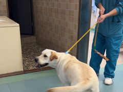 -动物缘宠物医院·骨科·猫科(西二环店)