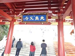 -庐山风景名胜区-东林大佛