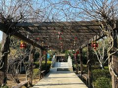 -白马涧龙池景区