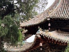 -报恩寺(平武县)