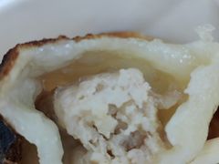 -洋洋锅贴