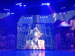 -芜湖新华联大白鲸海洋公园