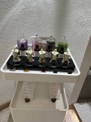 -薇薇安花系SPA