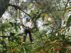 -芦仙山景区-飞越丛林探险乐园