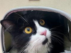 -拜鲁耶动物诊疗中心·宠家动物医院