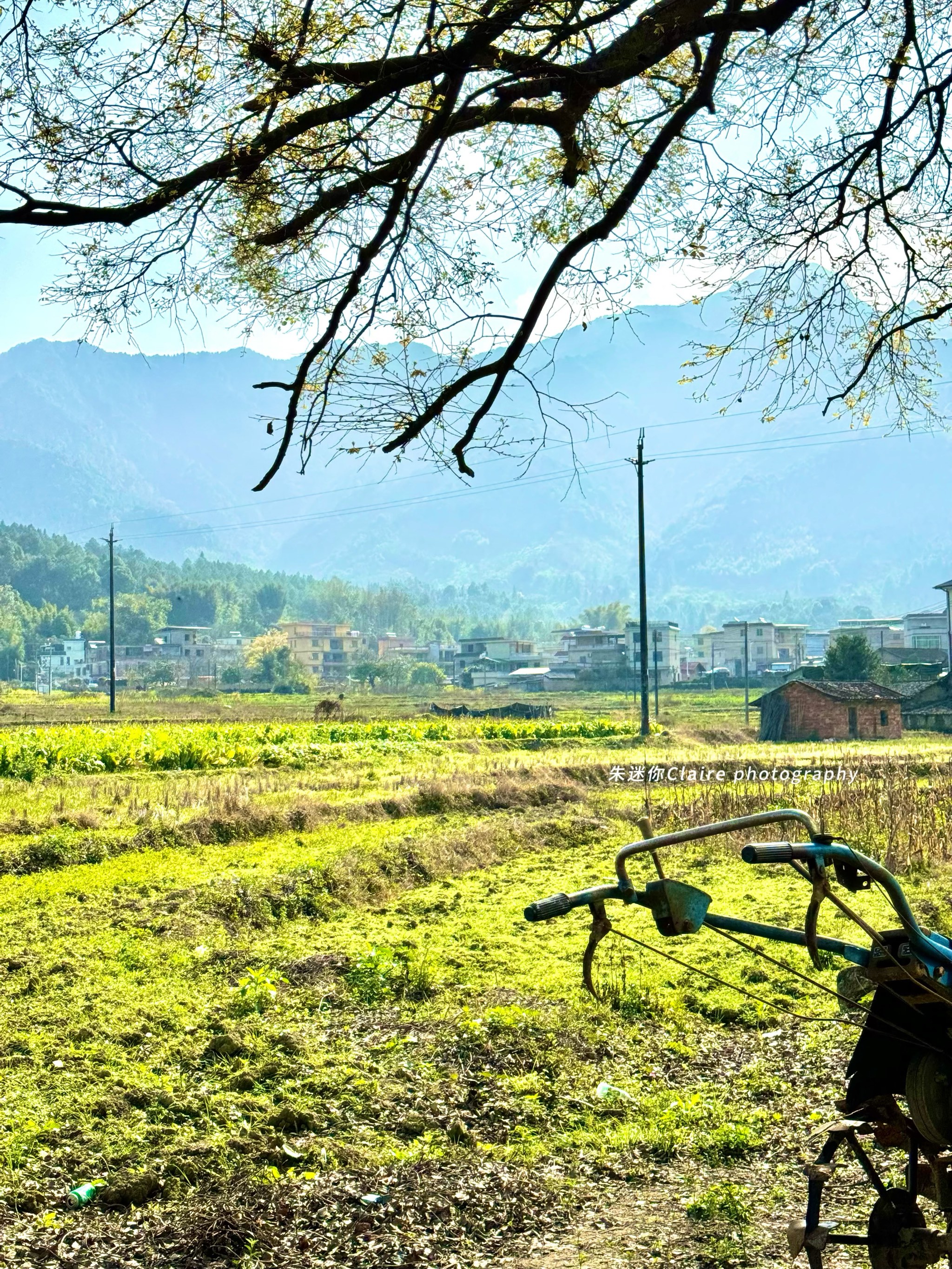 从化桂峰村图片