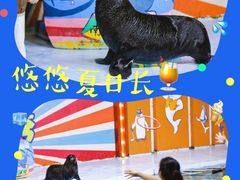 -南昌海洋公园