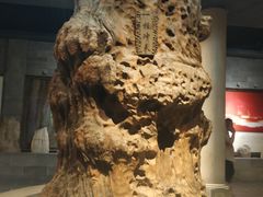 -乐山乌木文化博览苑