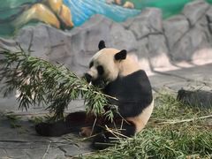 -秦皇岛野生动物园