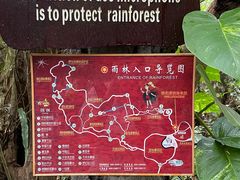 -呀诺达热带雨林