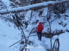 -峡谷浮石林景区