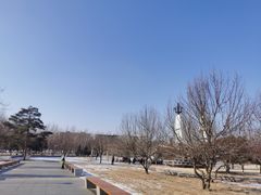 -长春公园(普阳街道)