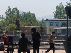-特种渔场