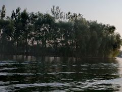 -白洋淀景区
