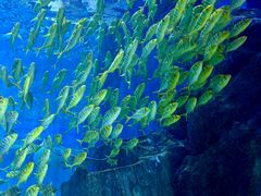 -华夏文旅西安度假区