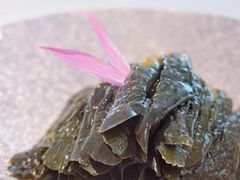 -松鹤楼·非遗·苏帮菜(融科店)