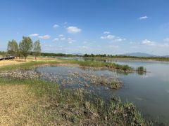 -野鸭湖国家湿地公园