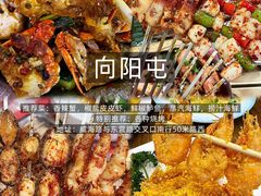 -日照海滨国家森林公园