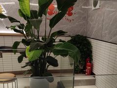 -老新隆牛肉锅贴(新街口店)