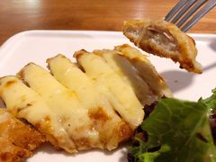 -百好乐宠物友好餐厅(朝外大街店)