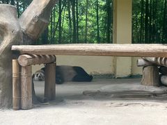 -杭州野生动物世界