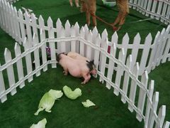 -华东·万悦城