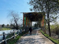 -天适樱花悠乐园