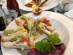 -Fern Forest Cafe