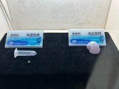 -贝壳梦幻世界