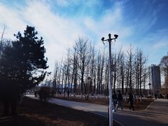 -长白岛森林公园