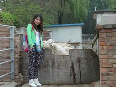 -意大利农场度假村