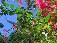 -二沙岛艺术公园