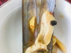 时椒炒圣子-新金盛·海鲜酒楼(盐田店)