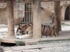 -南宁市动物园