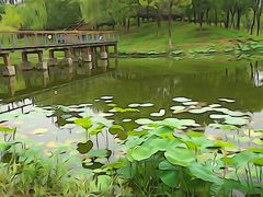 -东郊湿地公园