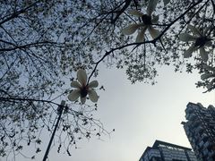 -宜家家居(高新商场店)