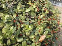 -白塘生态植物园