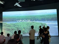 -中国湿地博物馆