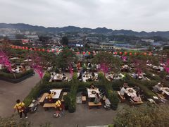 -枇杷园食为鲜火锅(南山店)