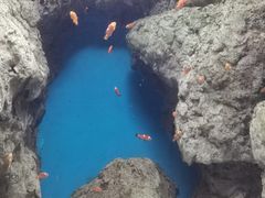 -福州罗源湾海洋世界旅游区