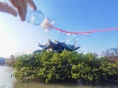 -江心屿景区