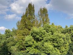 -J Create城市露营咖啡·简餐·宠物(上海动物园店)