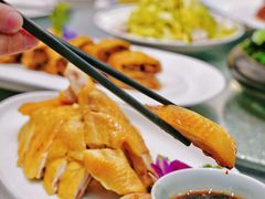 三黄鸡-碧丽宫大酒店(召稼楼店)