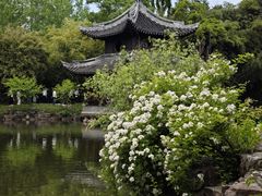 -水绘园