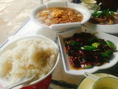-长兴岛郊野公园农场食堂