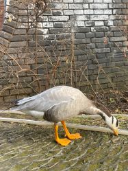 -红砖美术馆-红砖院子·宴会厅