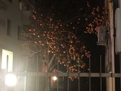 -思念果岭悦温泉